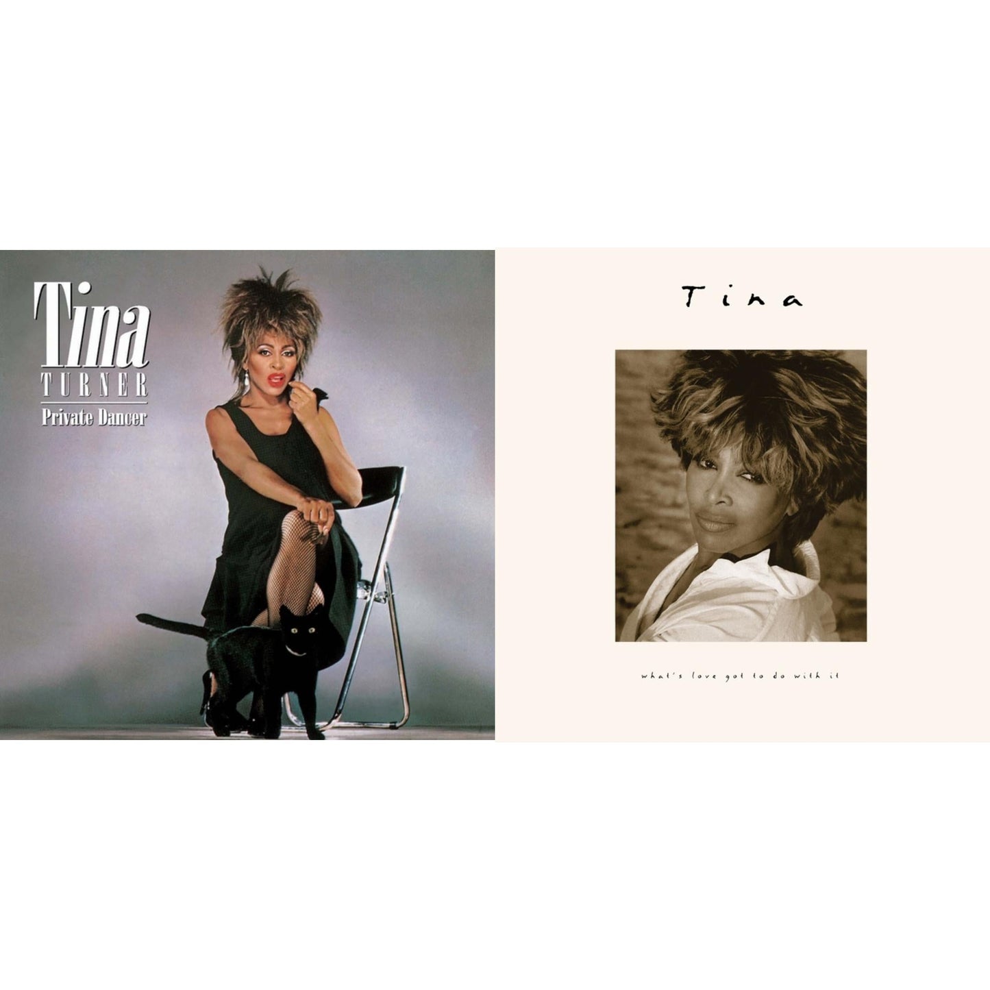 Tina Turner - What's Love Got To Do With It (30Th Anniversary Edition) (2023 Remaster) & Private Dancer - LP Vinyl Bundle