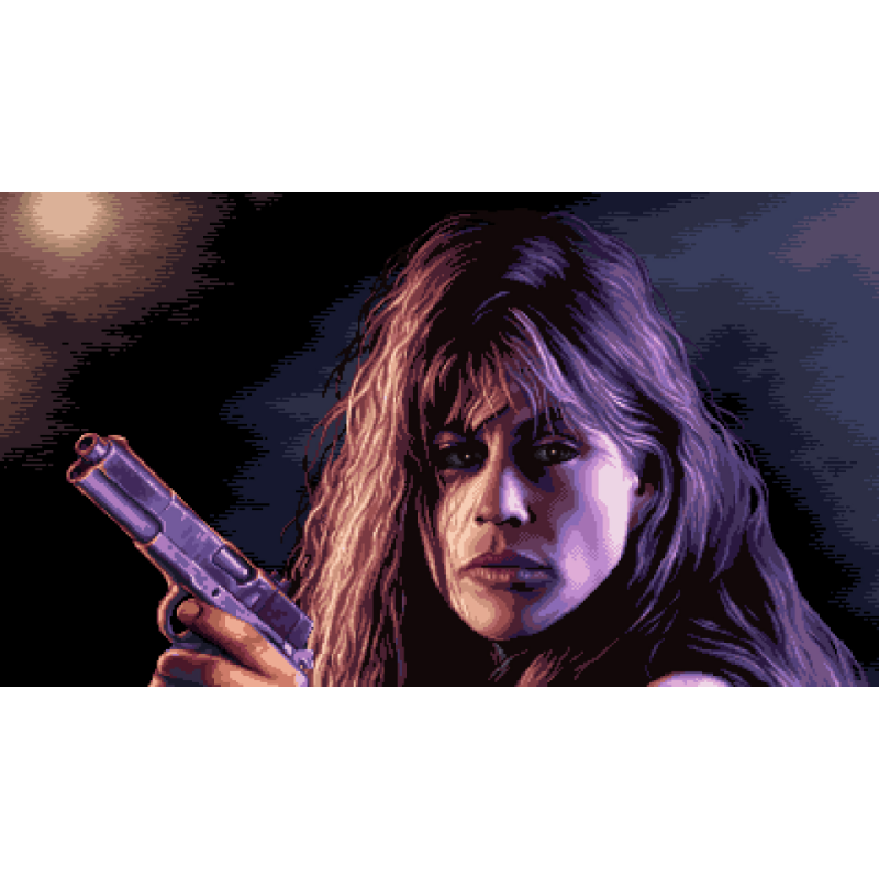 Terminator 2D: NO FATE CE - Switch