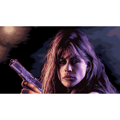 Terminator 2D: NO FATE CE - Switch