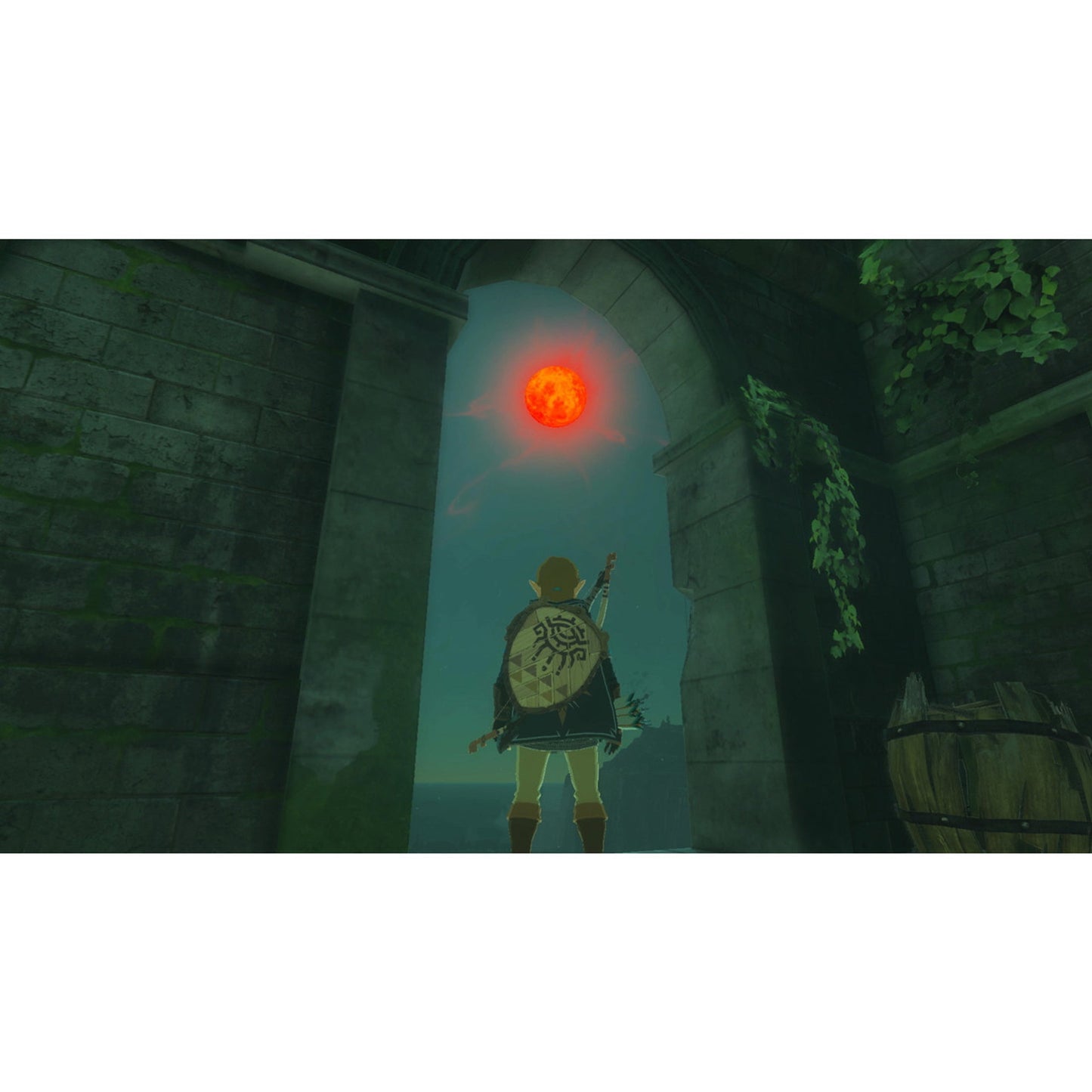 Legend of Zelda: Tears of the Kingdom Collector's Edition - Switch