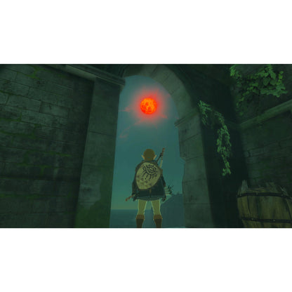 Legend of Zelda: Tears of the Kingdom Collector's Edition - Switch