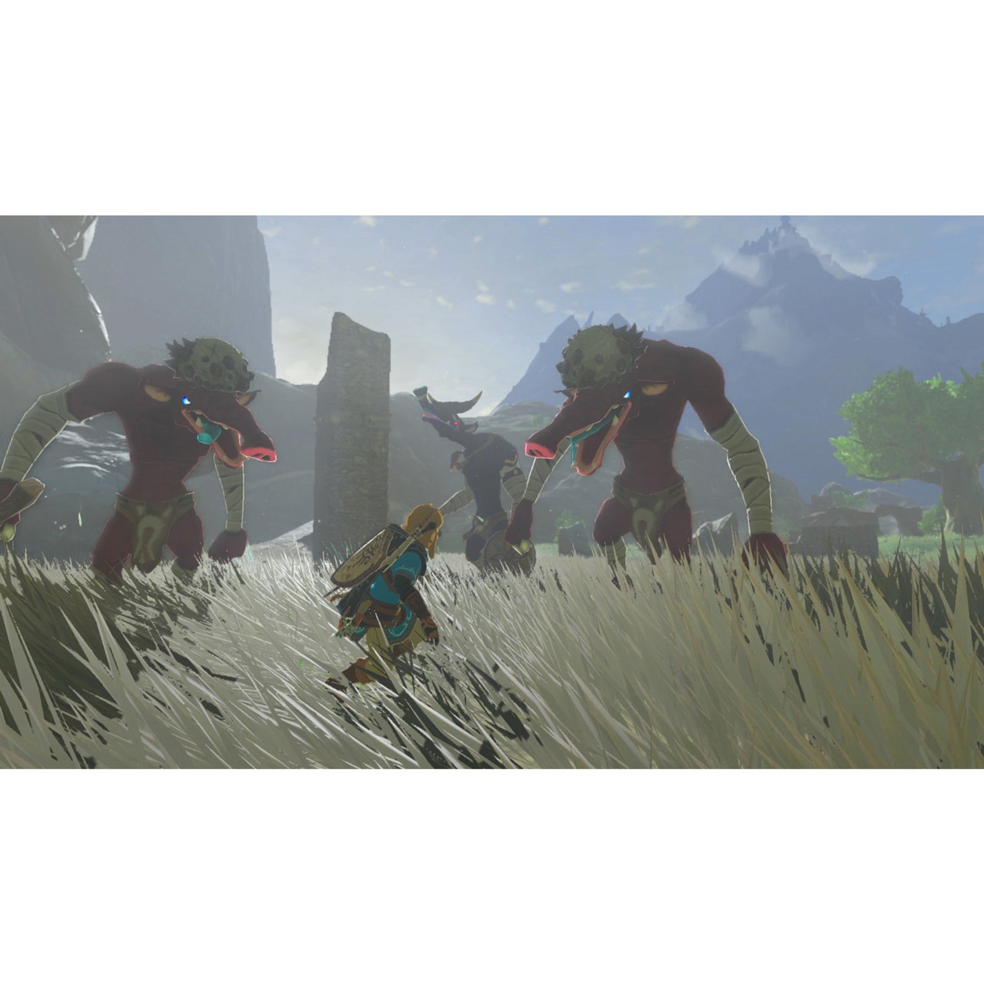 Legend of Zelda: Tears of the Kingdom Collector's Edition - Switch