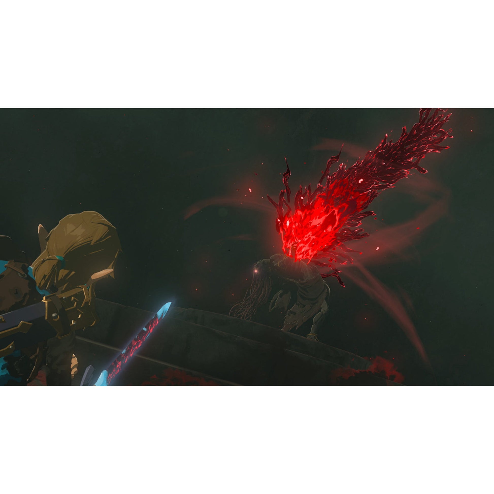 Legend of Zelda: Tears of the Kingdom Collector's Edition - Switch