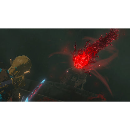 Legend of Zelda: Tears of the Kingdom Collector's Edition - Switch