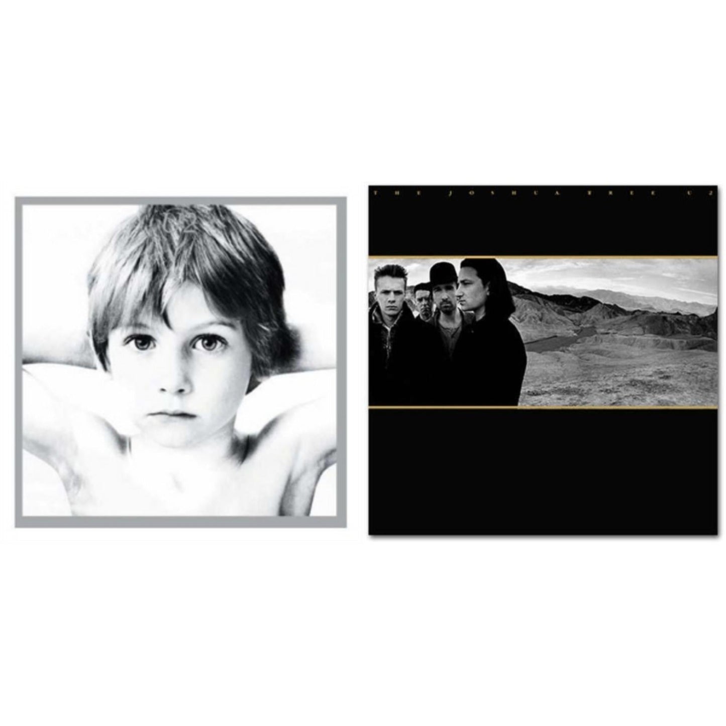 Boy & Joshua Tree