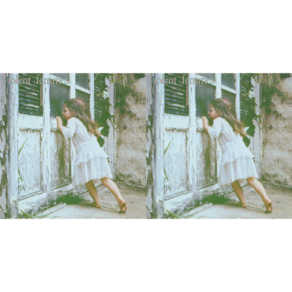 Violent Femmes & Violent Femmes (Deluxe) (3LP/7 Inch)