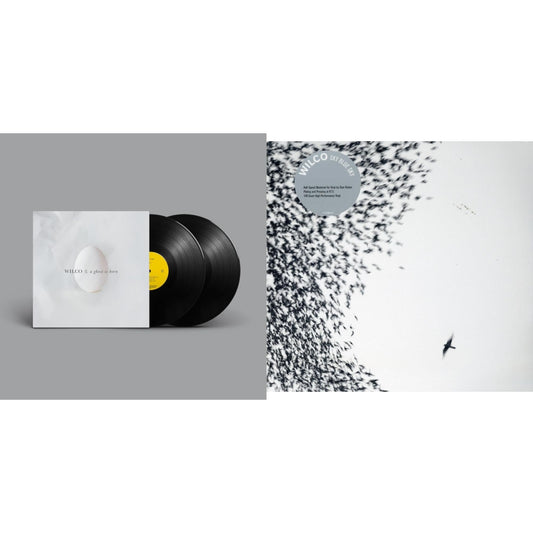 Ghost Is Born (2LP) & Sky Blue Sky