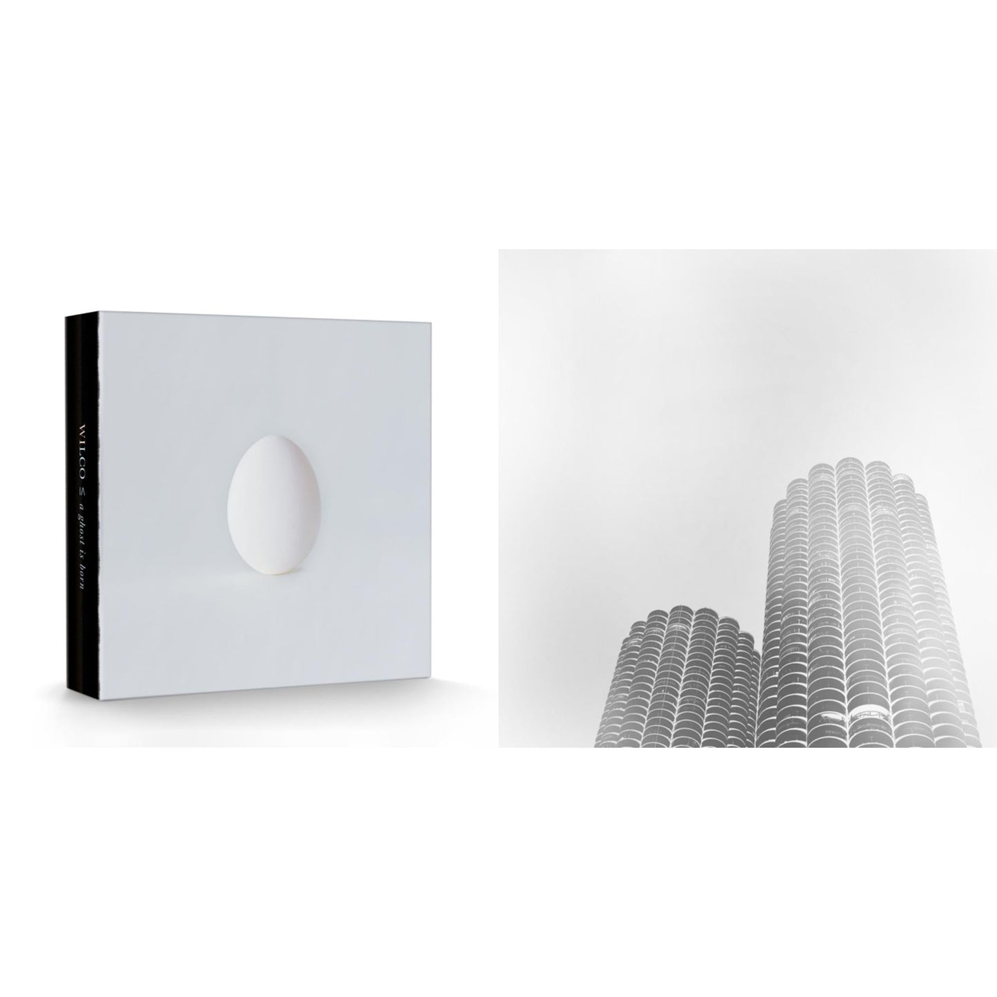 Ghost Is Born (Deluxe/9LP/4CD Box Set) & Yankee Hotel Foxtrot (Super Deluxe/7LP)