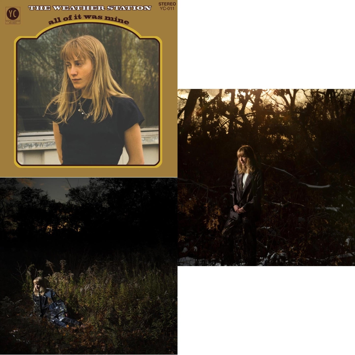 Ignorance (Silver LP Vinyl) (I) & All Of It Was Mine (10Th Anniversary Edition/Limited Bone LP Vinyl) (I) & How Is It That I Should Look At The Stars