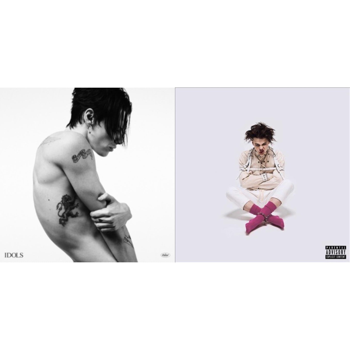 Idols & 21St Century Liability (LP)