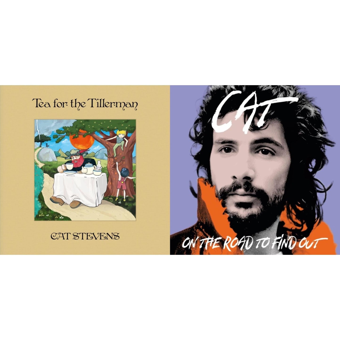 Tea For The Tillerman & On The Road To Findout: Greatest Hits (2LP)