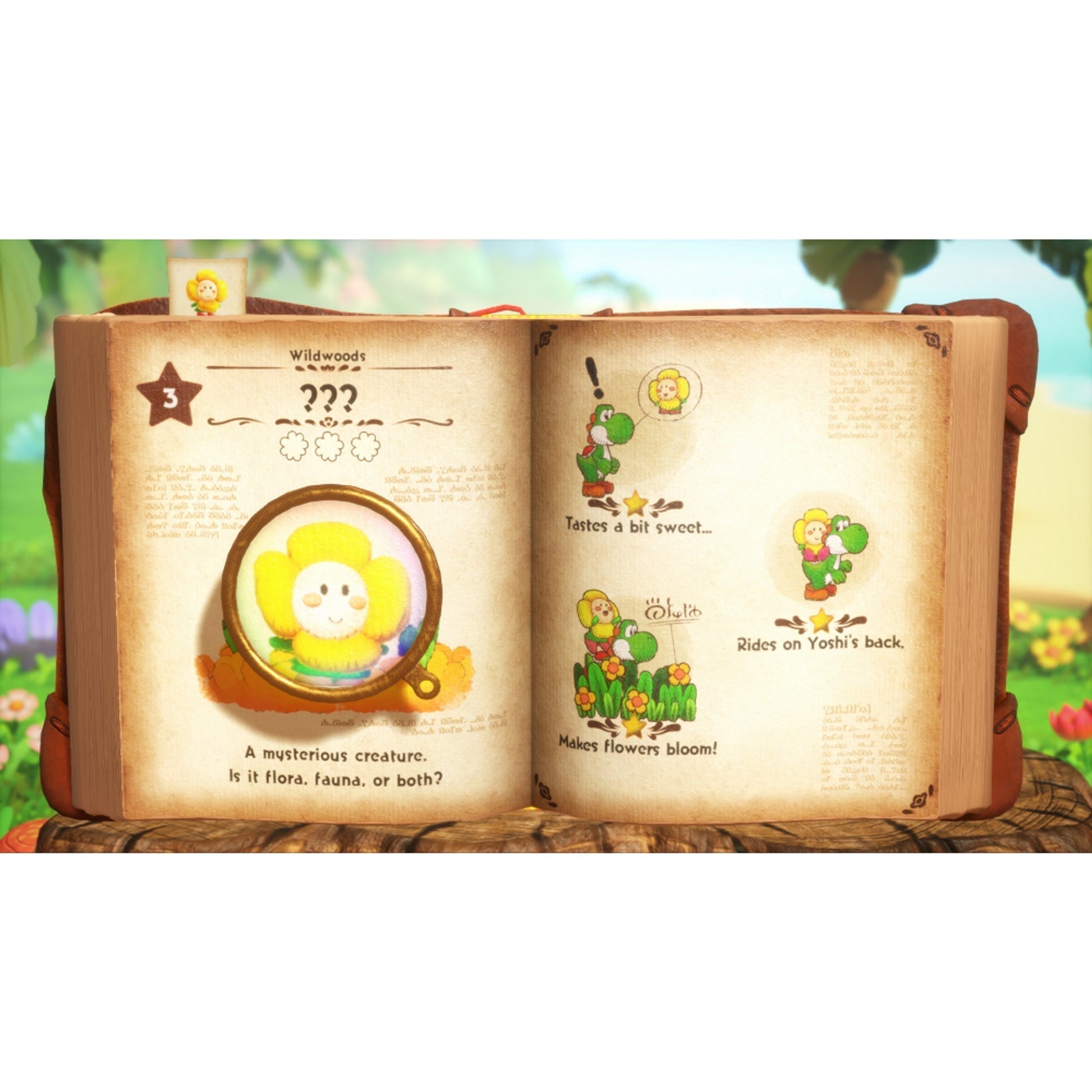 Yoshi and the Mysterious Book - Switch 2