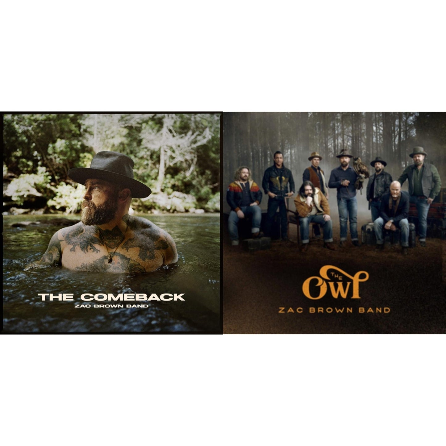 Comeback & Owl