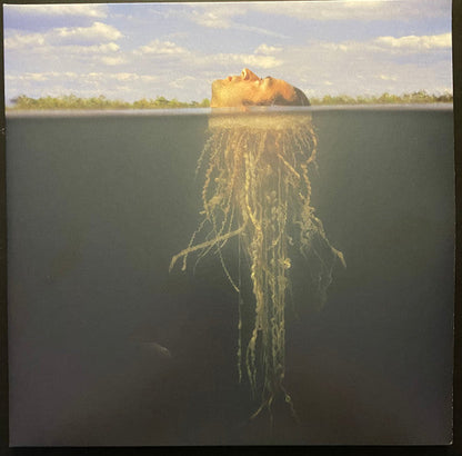 Amputechture (2LP) & De-Loused In The Comatorium (Gold & Dark Green Vinyl/2LP) & Que Dios Te Maldiga Mi Corazon