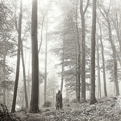 Folklore (X) (Beige Vinyl/2LP) & Red (Taylor's Version) (4LP) & Speak Now (Taylor's Version) (Orchid Marbled Vinyl/3LP) & Tortured Poets Department (X) (Ghosted White Vinyl/2LP/Manuscript- Bonus Track)