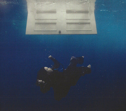 Hit Me Hard & Soft & When We All Fall Asleep, Where Do We Go?