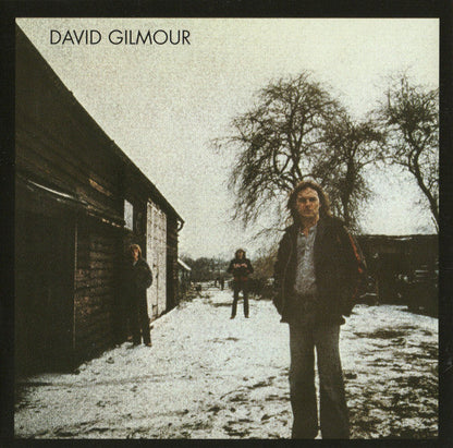 Luck & Strange & David Gilmour & Live In Gdansk & Live At Pompeii