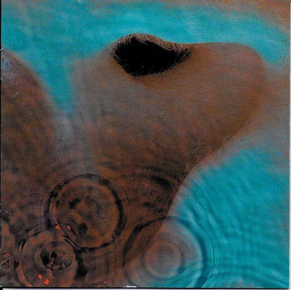 Animals (2018 Remix) & Dark Side Of The Moon (50Th Anniversary Remaster) & Pink Floyd At Pompeii - Mcmlxxii (2CD) & Meddle & Wish You Were Here & Wall